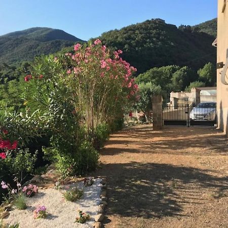 Bel Appartement Type F3 Amelie-les-Bains-Palalda ภายนอก รูปภาพ